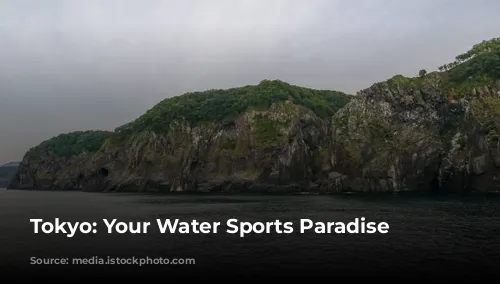  Tokyo: Your Water Sports Paradise 