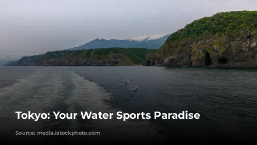  Tokyo: Your Water Sports Paradise 