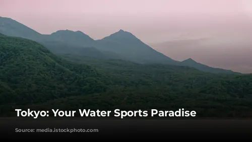  Tokyo: Your Water Sports Paradise 