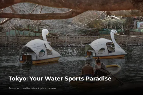  Tokyo: Your Water Sports Paradise 