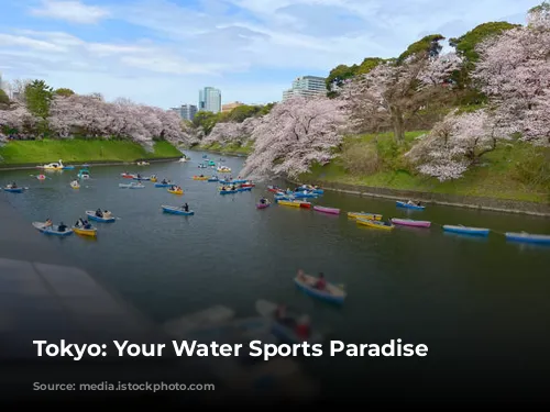  Tokyo: Your Water Sports Paradise 