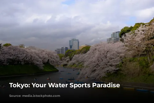  Tokyo: Your Water Sports Paradise 