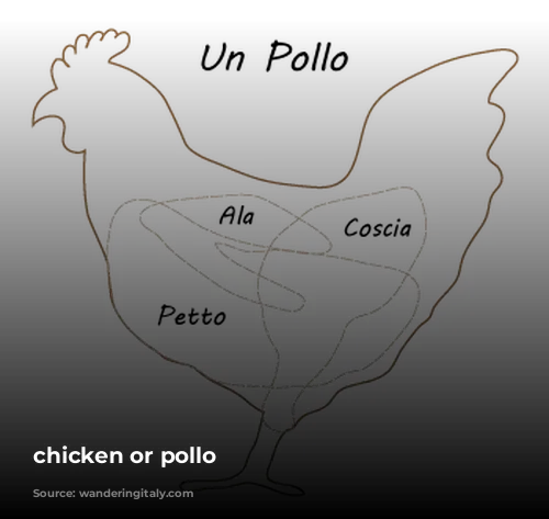 chicken or pollo