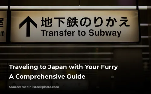 Traveling to Japan with Your Furry Friend: A Comprehensive Guide