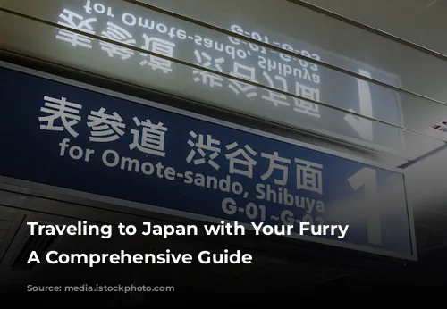 Traveling to Japan with Your Furry Friend: A Comprehensive Guide