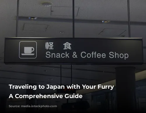 Traveling to Japan with Your Furry Friend: A Comprehensive Guide