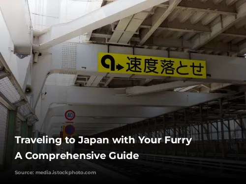 Traveling to Japan with Your Furry Friend: A Comprehensive Guide