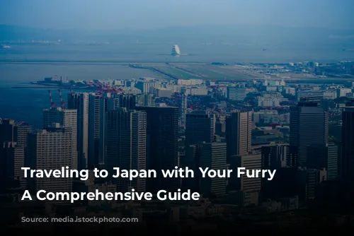 Traveling to Japan with Your Furry Friend: A Comprehensive Guide