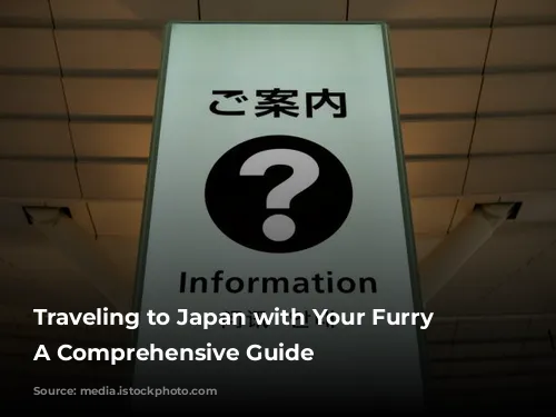 Traveling to Japan with Your Furry Friend: A Comprehensive Guide