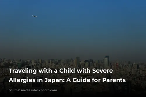 Traveling with a Child with Severe Food Allergies in Japan: A Guide for Parents