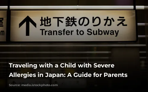 Traveling with a Child with Severe Food Allergies in Japan: A Guide for Parents