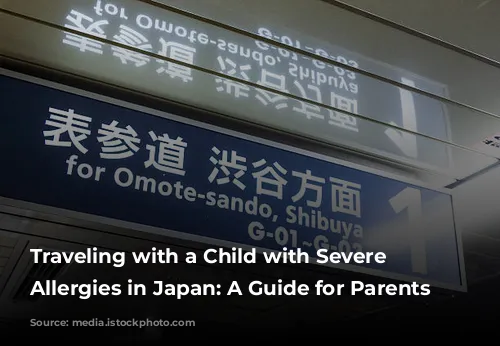 Traveling with a Child with Severe Food Allergies in Japan: A Guide for Parents