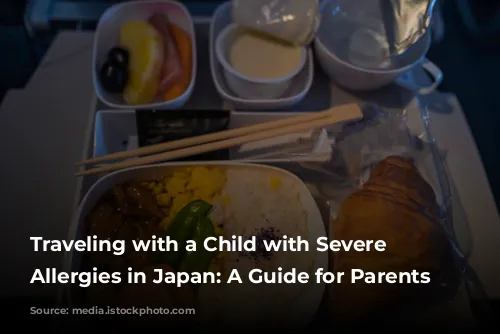 Traveling with a Child with Severe Food Allergies in Japan: A Guide for Parents