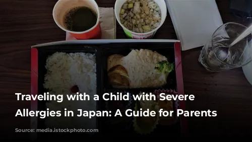 Traveling with a Child with Severe Food Allergies in Japan: A Guide for Parents