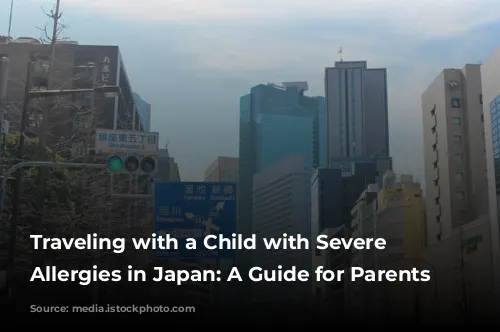 Traveling with a Child with Severe Food Allergies in Japan: A Guide for Parents