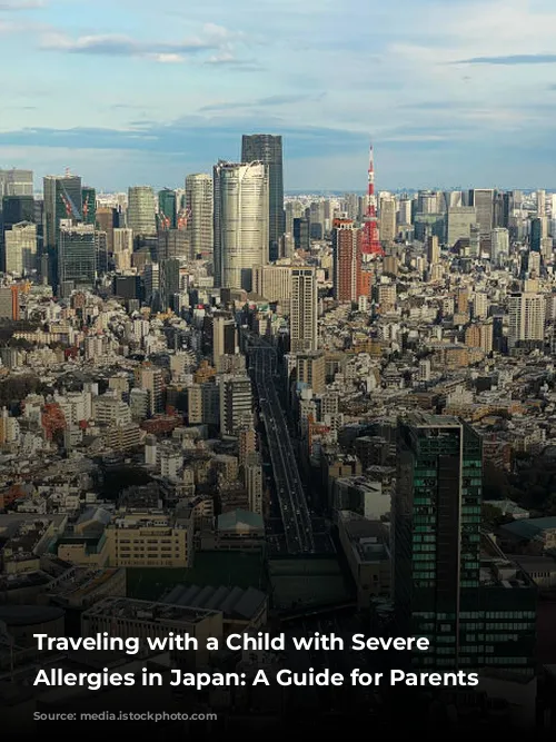 Traveling with a Child with Severe Food Allergies in Japan: A Guide for Parents