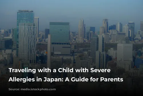 Traveling with a Child with Severe Food Allergies in Japan: A Guide for Parents