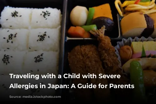 Traveling with a Child with Severe Food Allergies in Japan: A Guide for Parents