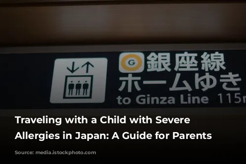 Traveling with a Child with Severe Food Allergies in Japan: A Guide for Parents