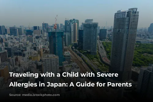 Traveling with a Child with Severe Food Allergies in Japan: A Guide for Parents