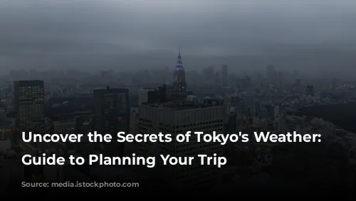 Uncover the Secrets of Tokyo's Weather: A Guide to Planning Your Trip