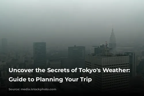 Uncover the Secrets of Tokyo's Weather: A Guide to Planning Your Trip