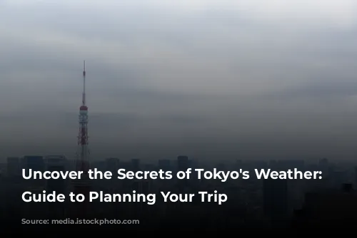 Uncover the Secrets of Tokyo's Weather: A Guide to Planning Your Trip