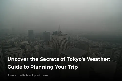 Uncover the Secrets of Tokyo's Weather: A Guide to Planning Your Trip