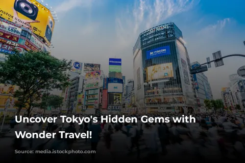 Uncover Tokyo's Hidden Gems with Japan Wonder Travel!