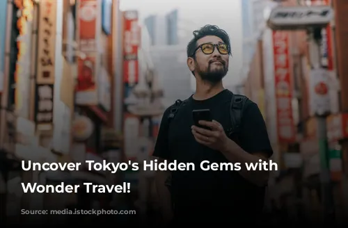 Uncover Tokyo's Hidden Gems with Japan Wonder Travel!