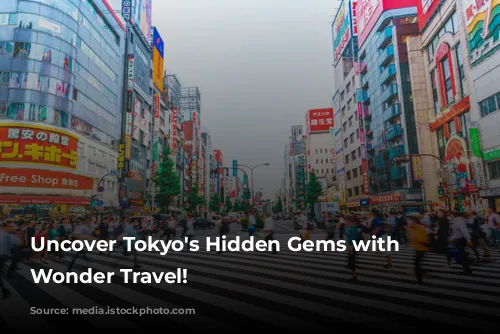 Uncover Tokyo's Hidden Gems with Japan Wonder Travel!