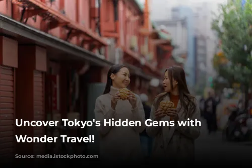 Uncover Tokyo's Hidden Gems with Japan Wonder Travel!