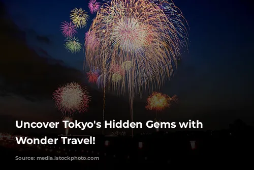 Uncover Tokyo's Hidden Gems with Japan Wonder Travel!