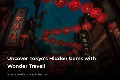 Uncover Tokyo's Hidden Gems with Japan Wonder Travel!