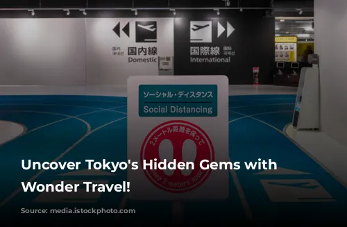 Uncover Tokyo's Hidden Gems with Japan Wonder Travel!