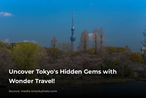 Uncover Tokyo's Hidden Gems with Japan Wonder Travel!