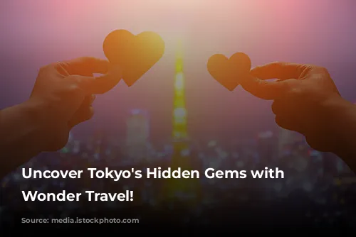 Uncover Tokyo's Hidden Gems with Japan Wonder Travel!