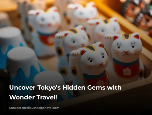 Uncover Tokyo's Hidden Gems with Japan Wonder Travel!