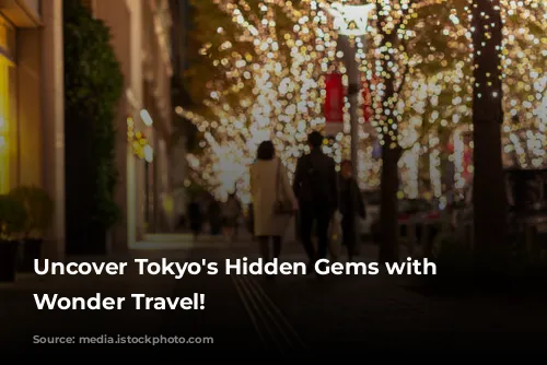 Uncover Tokyo's Hidden Gems with Japan Wonder Travel!