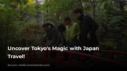 Uncover Tokyo's Magic with Japan Wonder Travel!