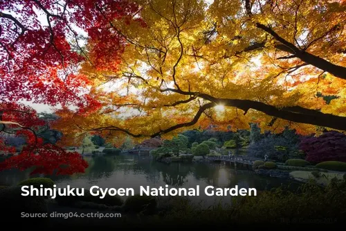 Shinjuku Gyoen National Garden