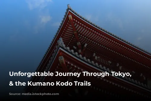 Unforgettable Journey Through Tokyo, Osaka & the Kumano Kodo Trails