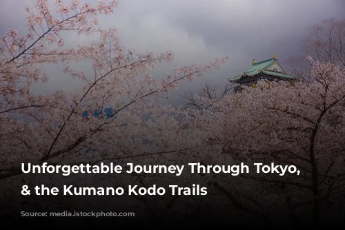 Unforgettable Journey Through Tokyo, Osaka & the Kumano Kodo Trails