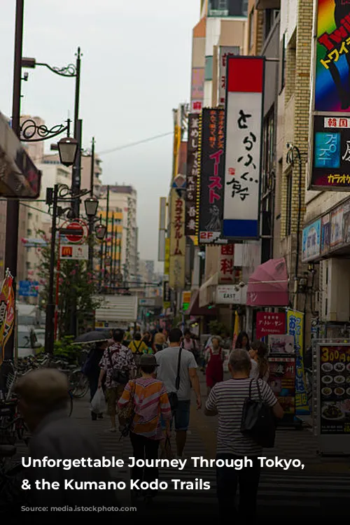 Unforgettable Journey Through Tokyo, Osaka & the Kumano Kodo Trails