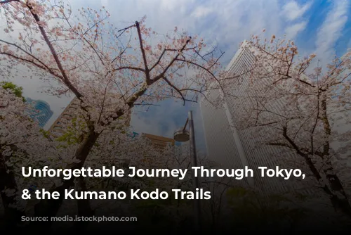 Unforgettable Journey Through Tokyo, Osaka & the Kumano Kodo Trails