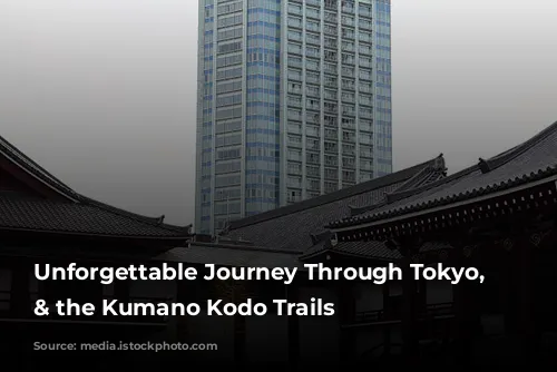 Unforgettable Journey Through Tokyo, Osaka & the Kumano Kodo Trails