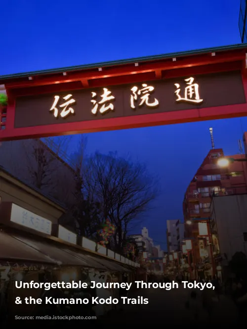 Unforgettable Journey Through Tokyo, Osaka & the Kumano Kodo Trails