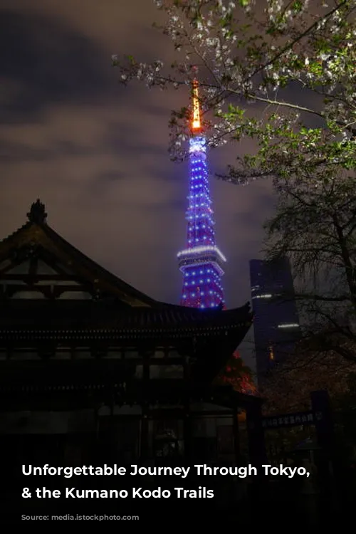 Unforgettable Journey Through Tokyo, Osaka & the Kumano Kodo Trails