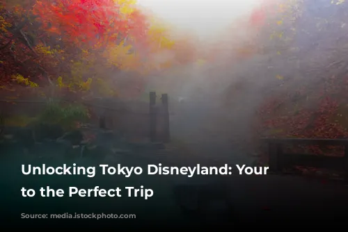 Unlocking Tokyo Disneyland: Your Guide to the Perfect Trip