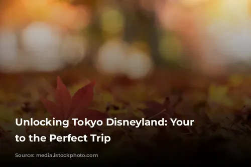 Unlocking Tokyo Disneyland: Your Guide to the Perfect Trip